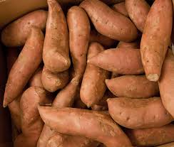 Fresh Potato 1