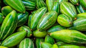 Pointed Gourd
