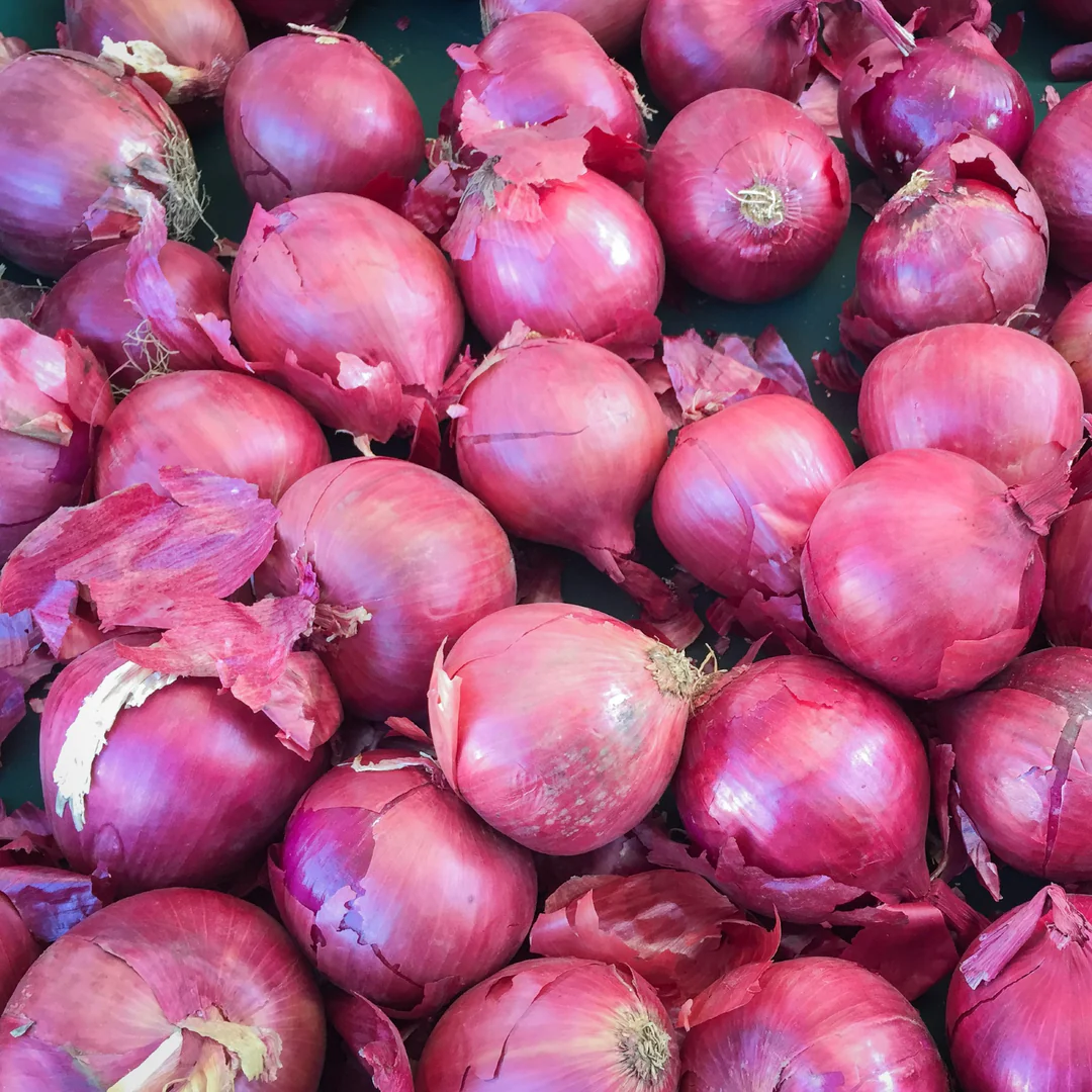Yellow Onion