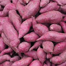 Fresh Potato 3