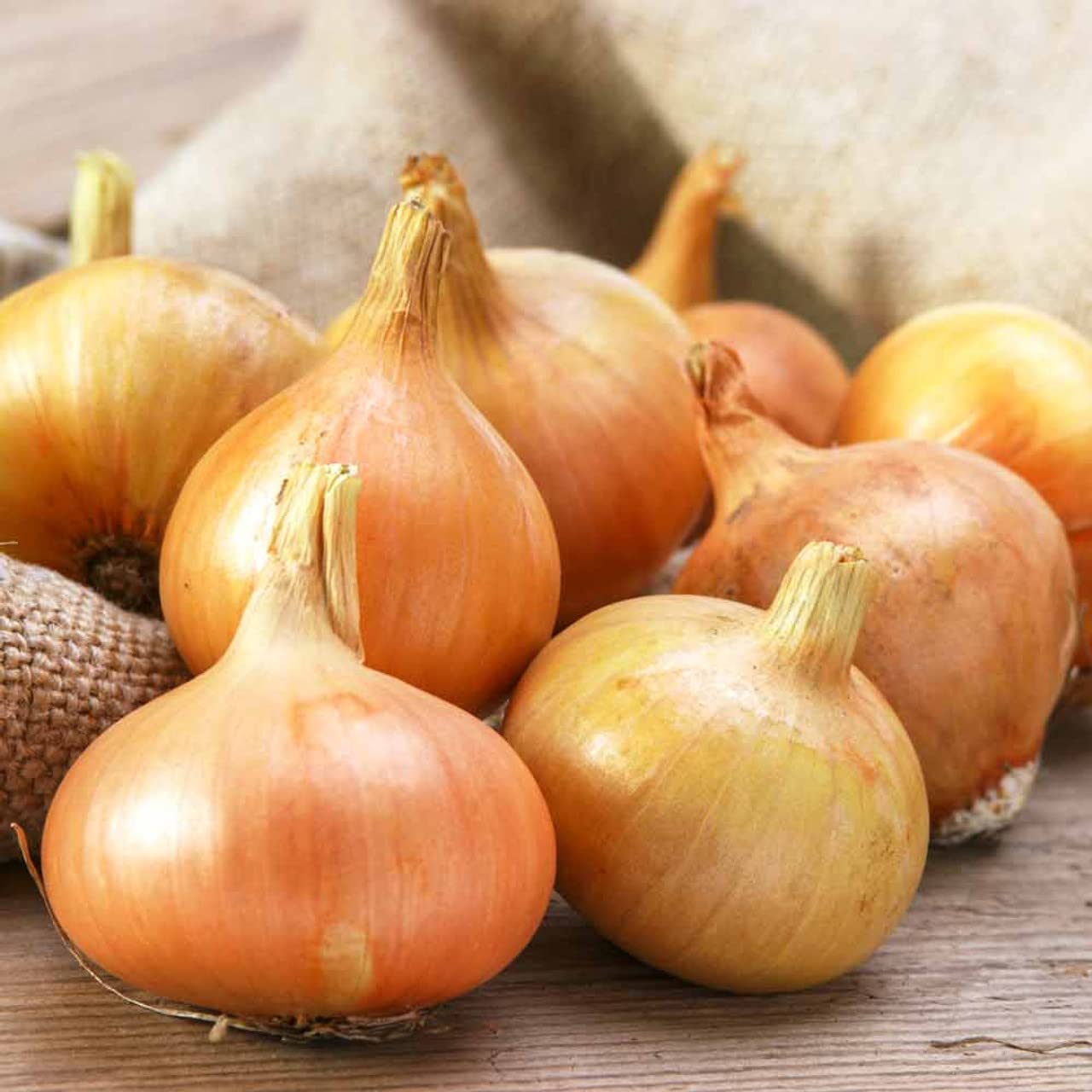 Red Onion